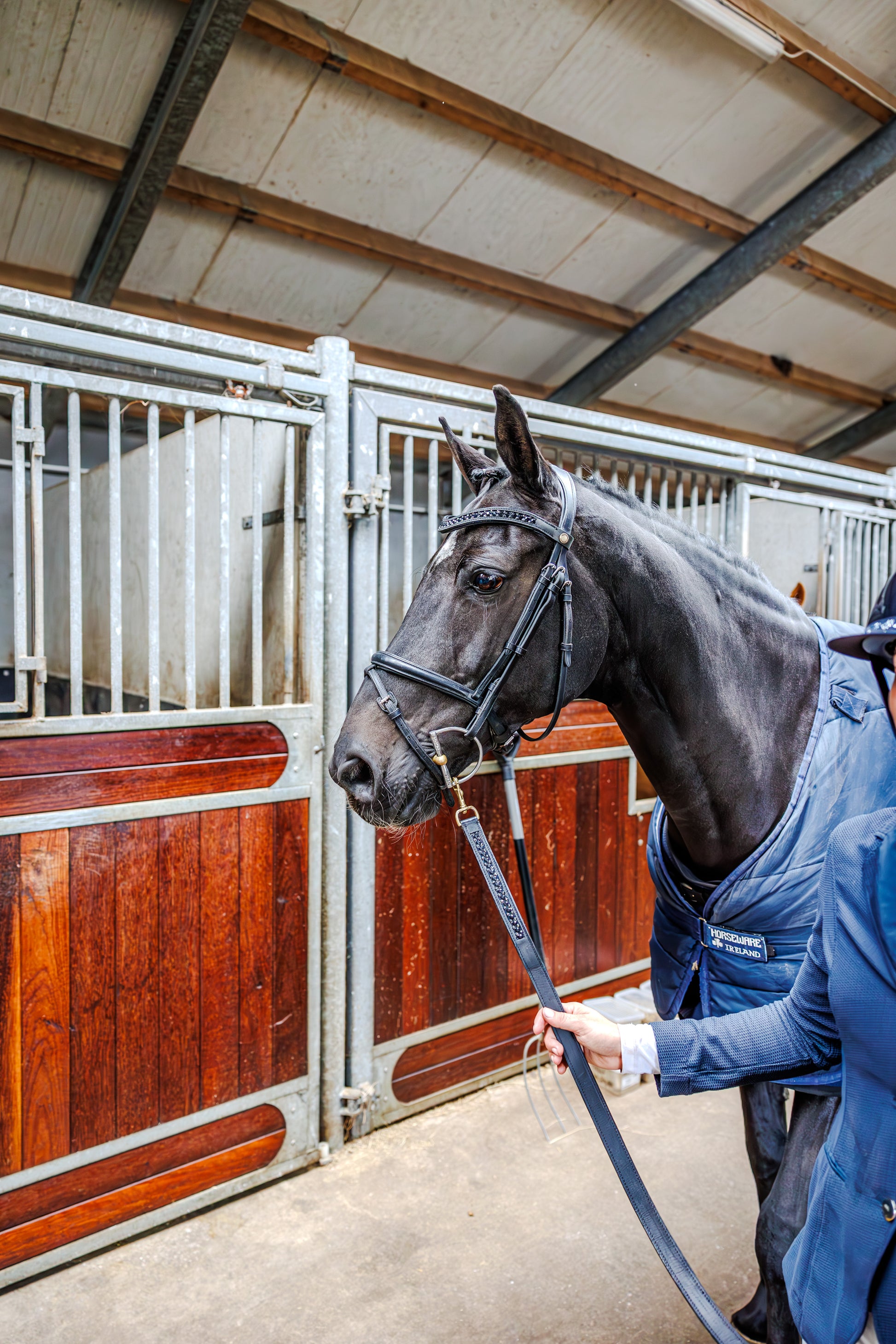 Browband